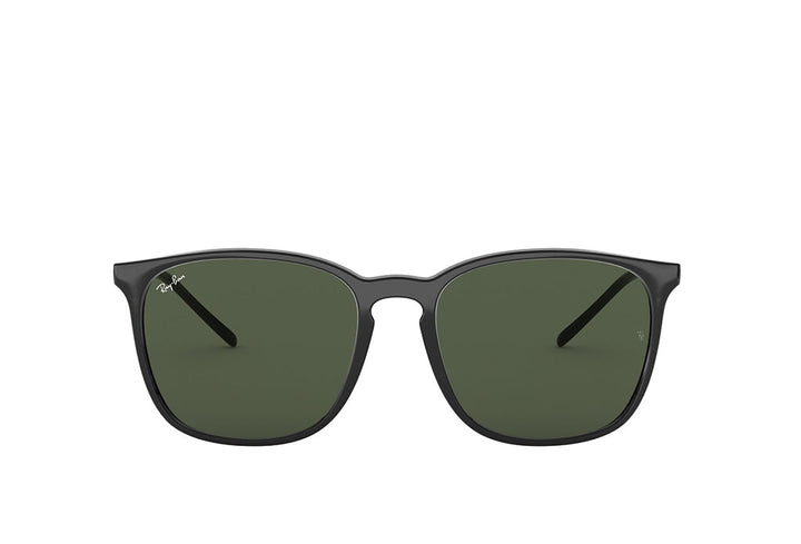 Ray-Ban 4387 Sunglass