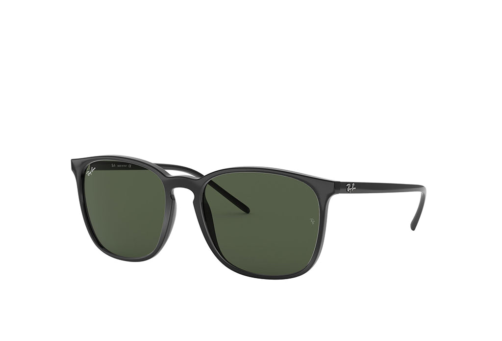 Ray-Ban 4387 Sunglass