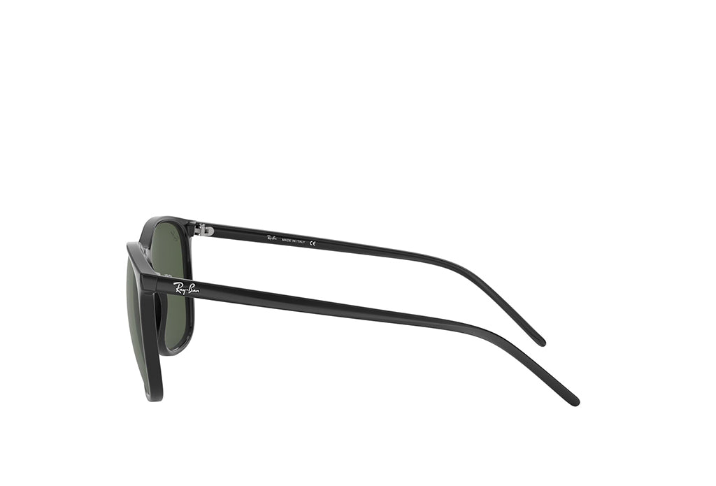 Ray-Ban 4387 Sunglass