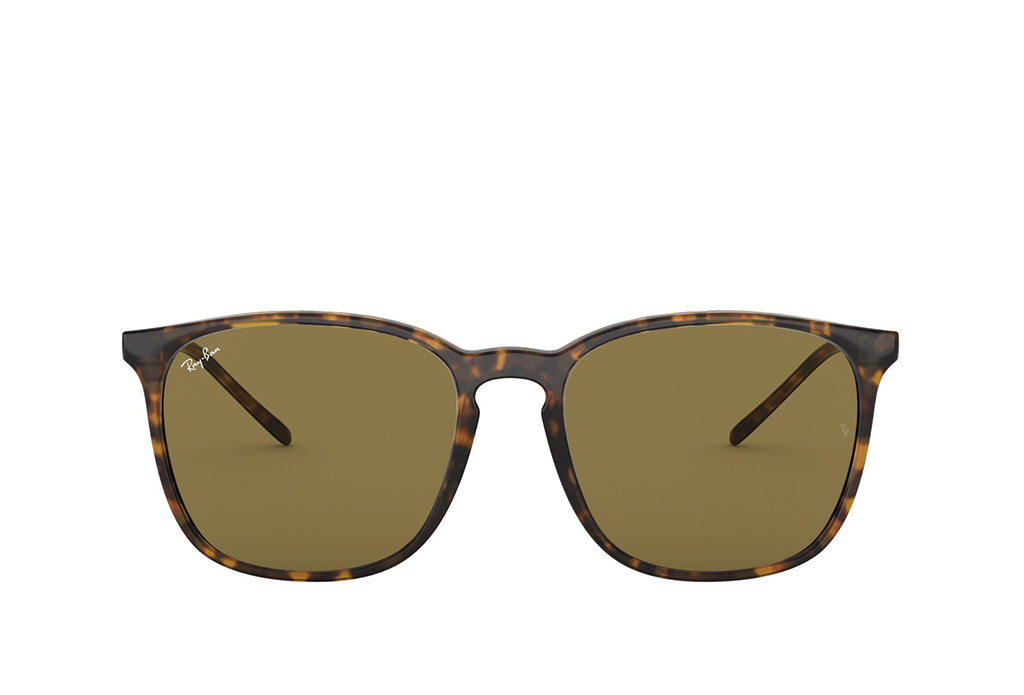 Ray-Ban 4387 Sunglass