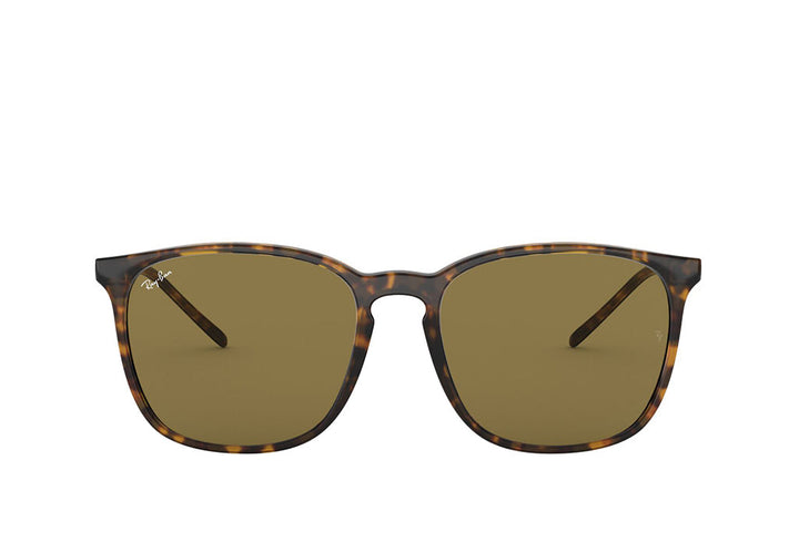 Ray-Ban 4387 Sunglass