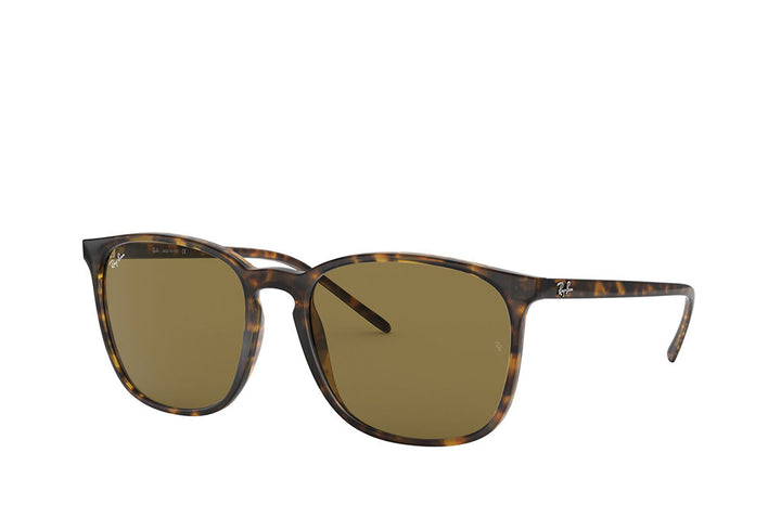 Ray-Ban 4387 Sunglass