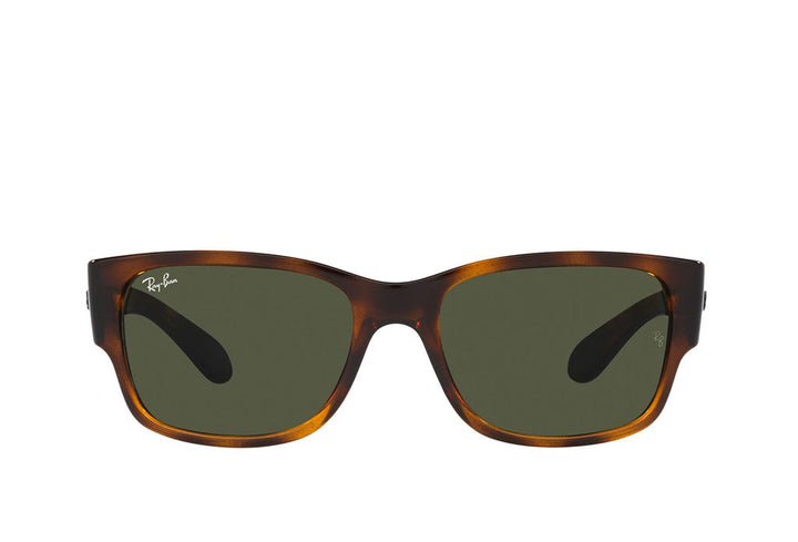Ray-Ban 4388 Sunglass