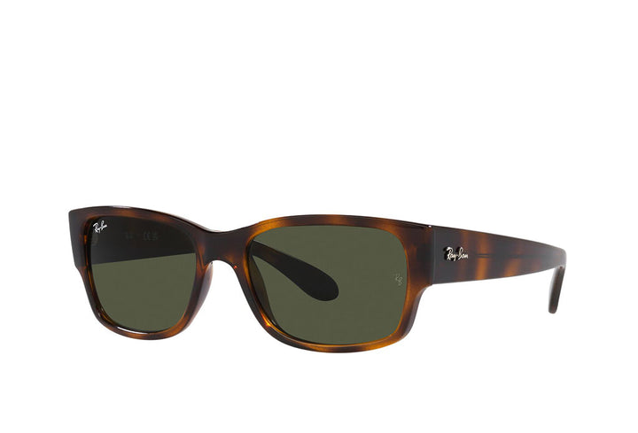 Ray-Ban 4388 Sunglass