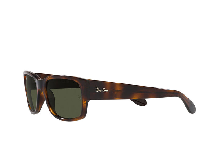 Ray-Ban 4388 Sunglass