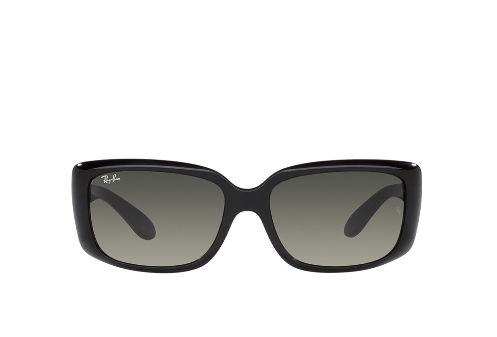 Ray-Ban 4389 Sunglass