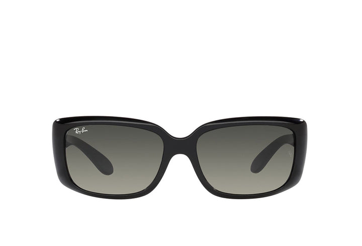 Ray-Ban 4389 Sunglass