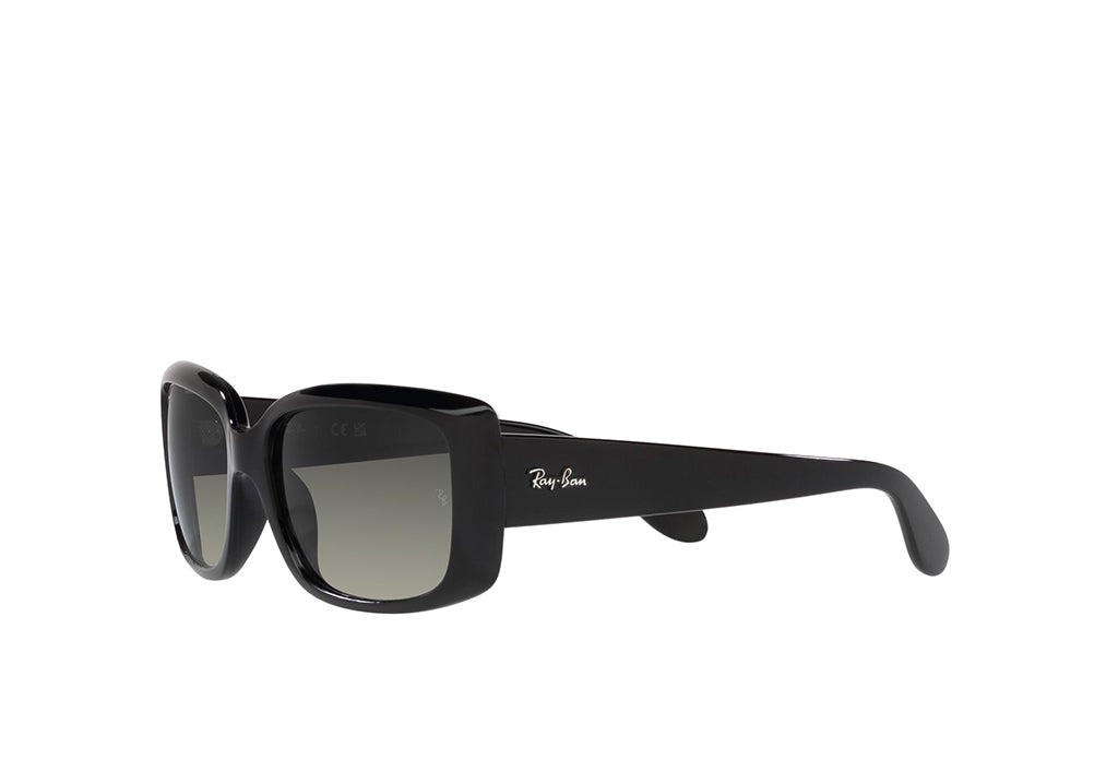 Ray-Ban 4389 Sunglass