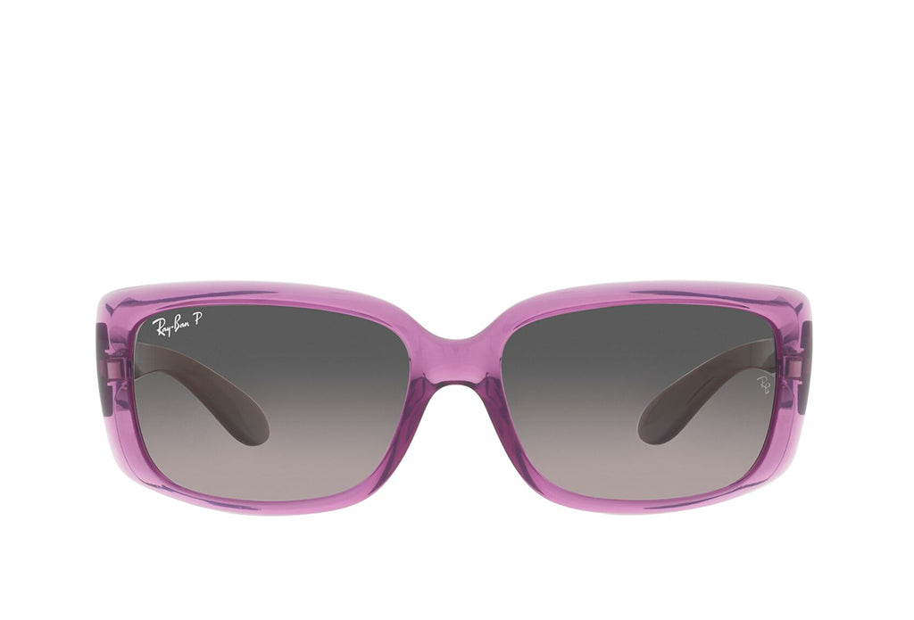 Ray-Ban 4389 Sunglass