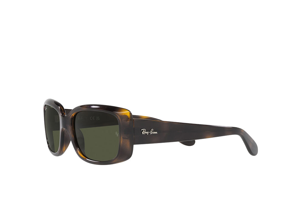 Ray-Ban 4389 Sunglass
