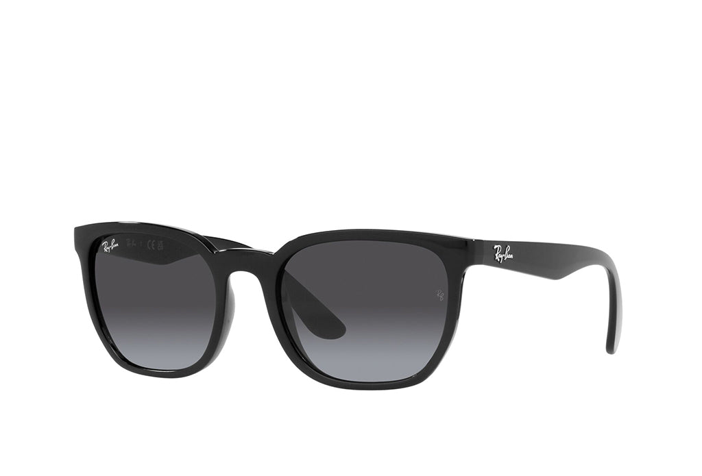 Ray-Ban 4390I Sunglass