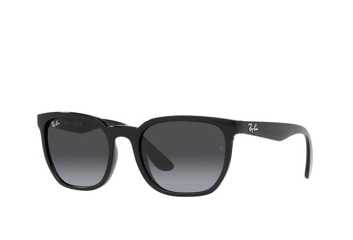 Ray-Ban 4390I Sunglass