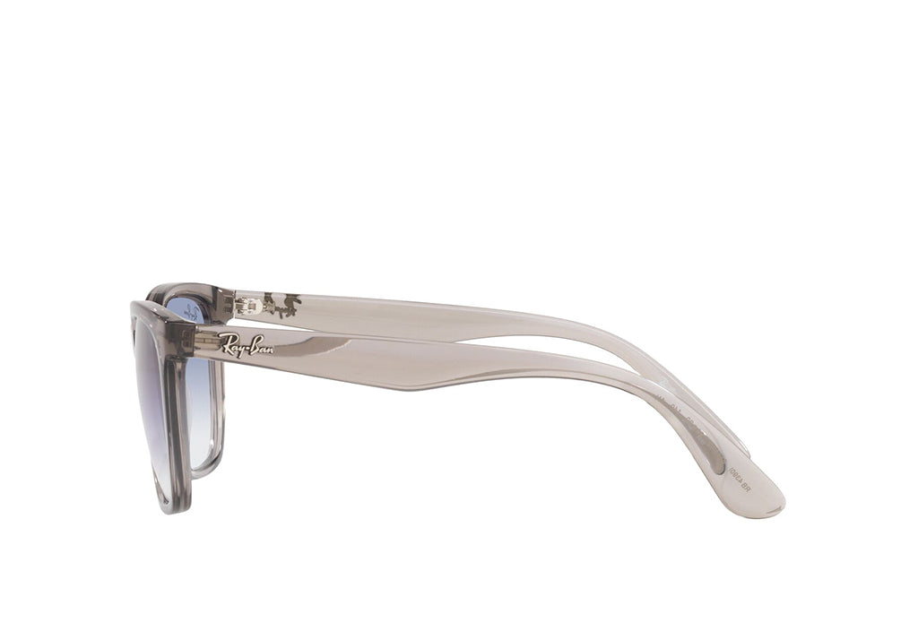 Ray-Ban 4390I Sunglass