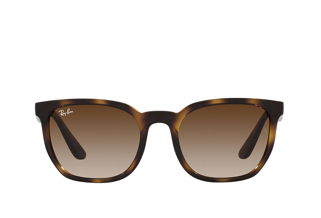 Ray-Ban 4390I Sunglass