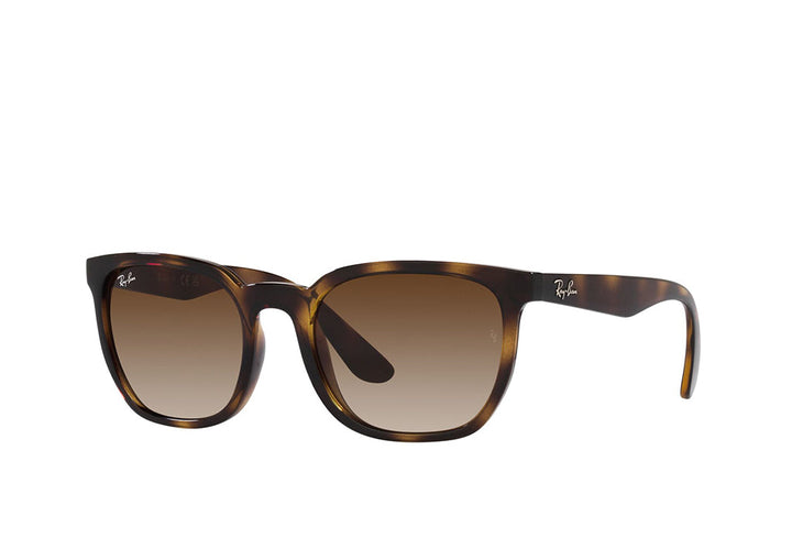 Ray-Ban 4390I Sunglass
