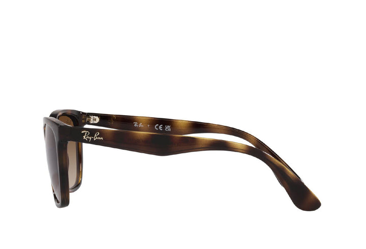 Ray-Ban 4390I Sunglass