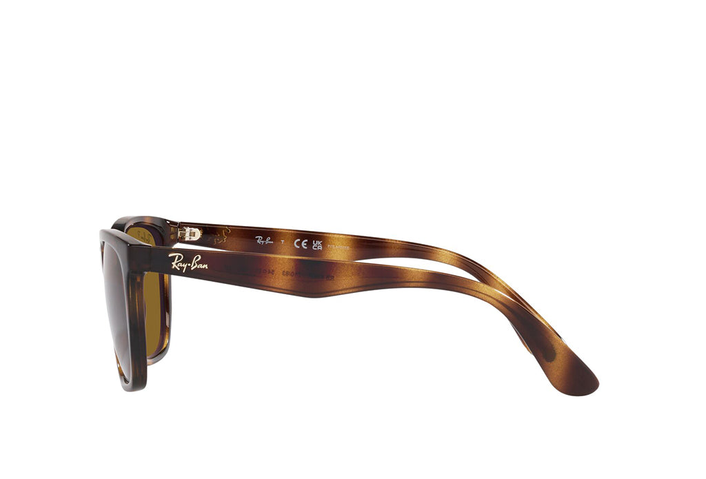 Ray-Ban 4390I Sunglass