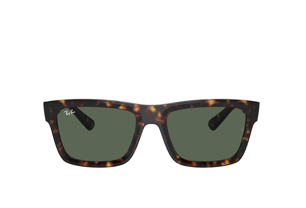 Ray-Ban 4396 Sunglass