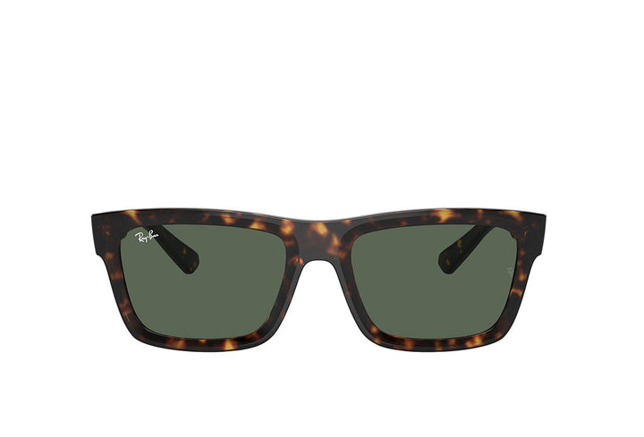 Ray-Ban 4396 Sunglass