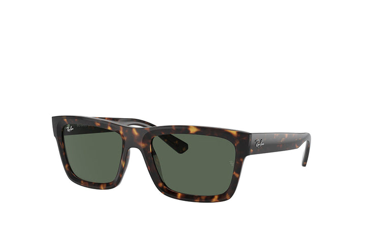 Ray-Ban 4396 Sunglass