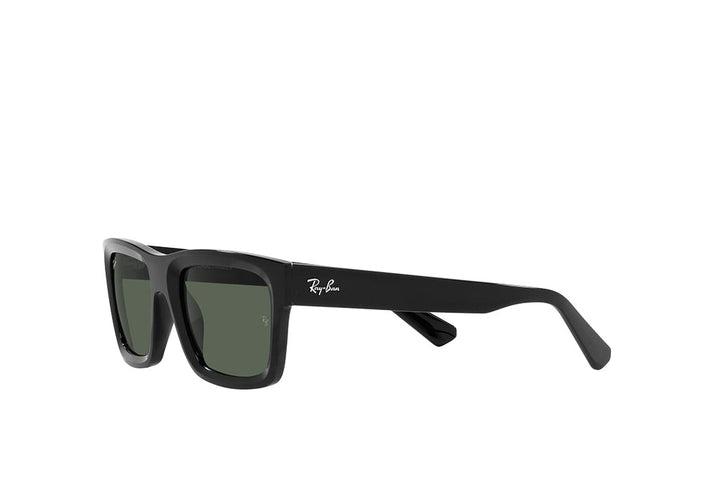 Ray-Ban 4396 Sunglass