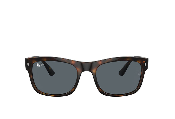 Ray-Ban 4428 Sunglass