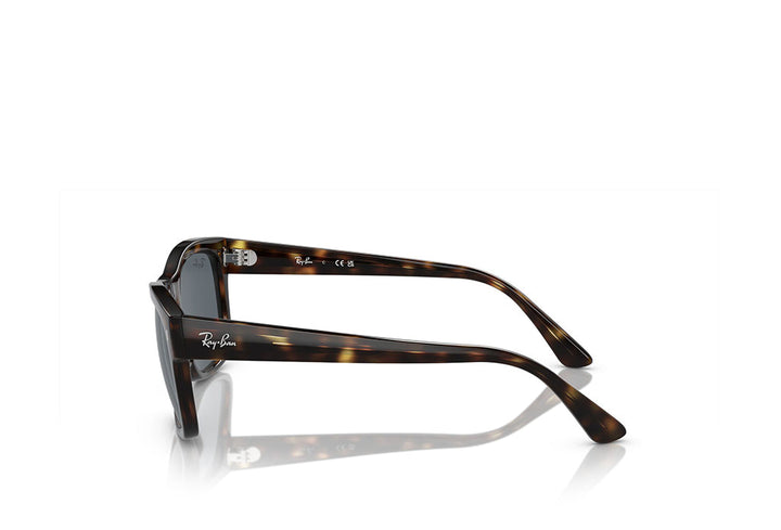 Ray-Ban 4428 Sunglass