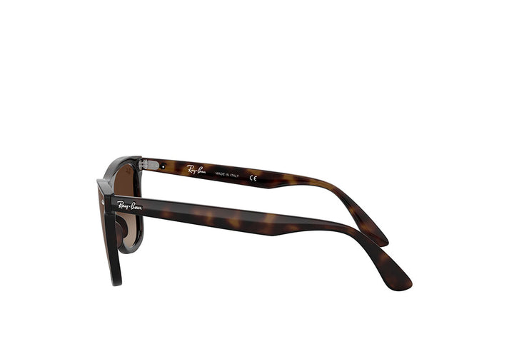 Ray-Ban 4440N Sunglass