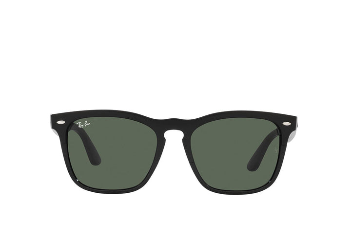 Ray-Ban 4487 Sunglass