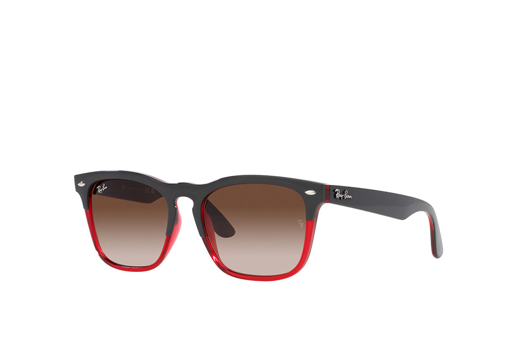 Ray-Ban 4487 Sunglass