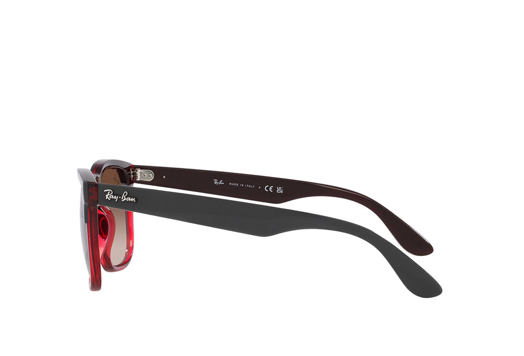 Ray-Ban 4487 Sunglass