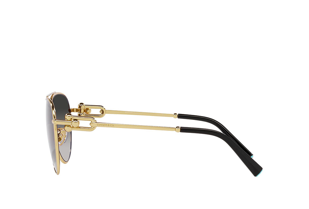 Tiffany & Co. 3092 Sunglass