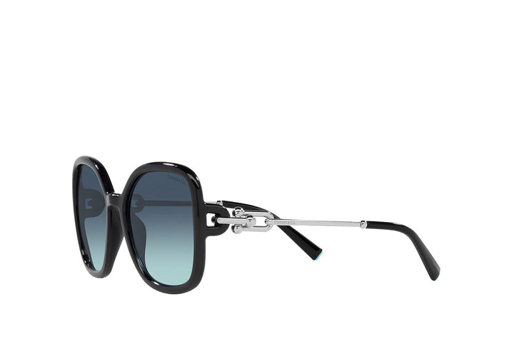 Tiffany & Co. 4202U Sunglass