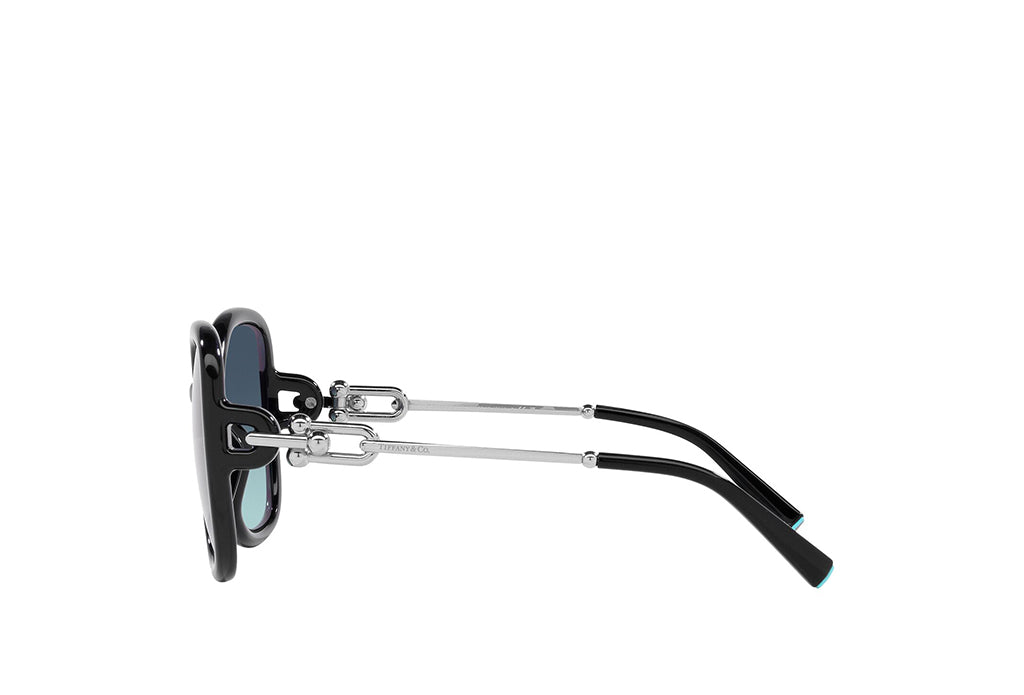 Tiffany & Co. 4202U Sunglass