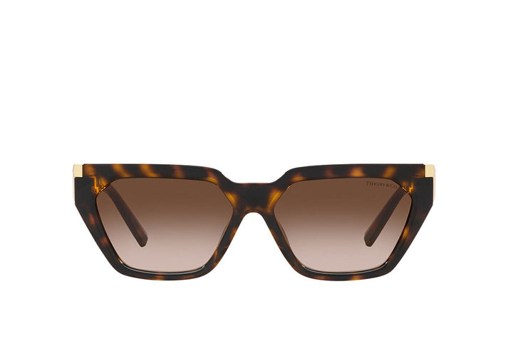 Tiffany & Co. 4205U Sunglass