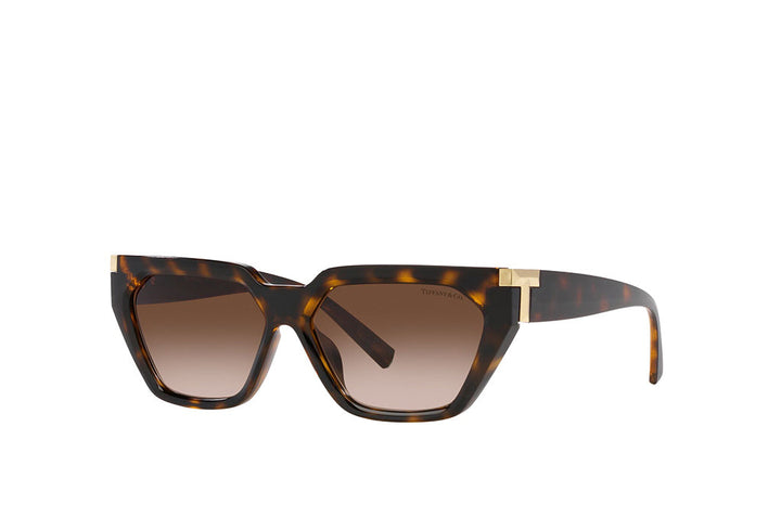 Tiffany & Co. 4205U Sunglass