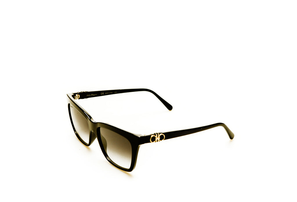 Salvatore Ferragamo 1027S Sunglass