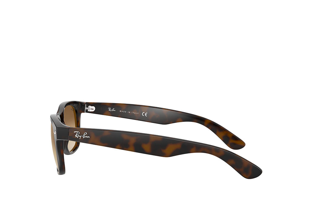 Ray-Ban 2132 Sunglass