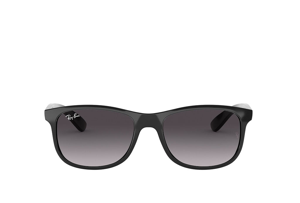 Ray-Ban 4202 Sunglass