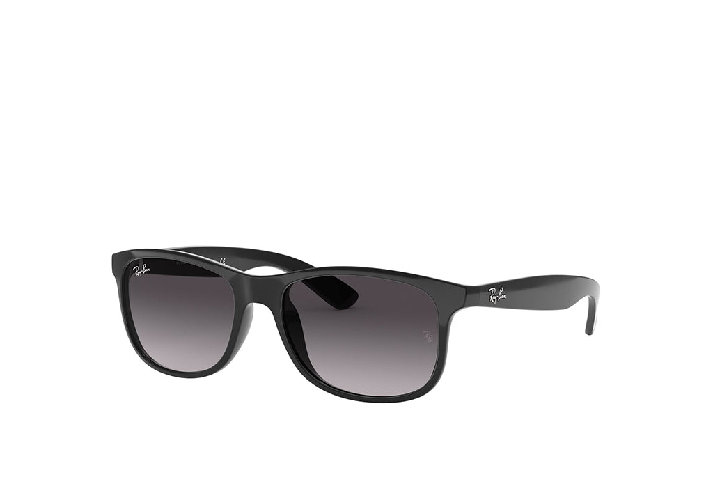 Ray-Ban 4202 Sunglass