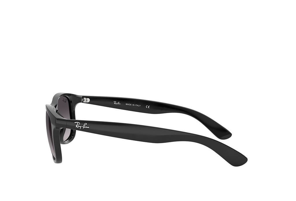 Ray-Ban 4202 Sunglass