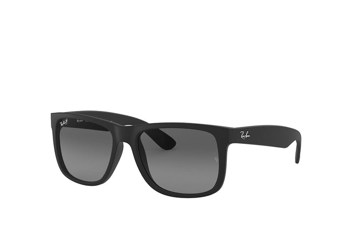 Ray-Ban 4165 Sunglass