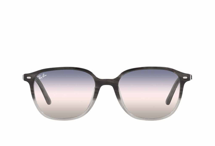 Ray-Ban 2193 Sunglass