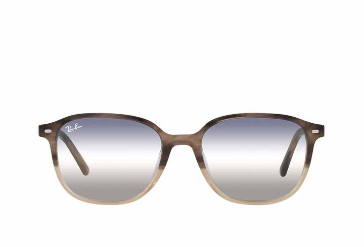 Ray-Ban 2193 Sunglass