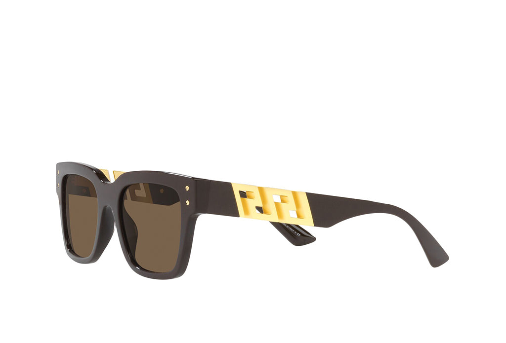Versace 4421 Sunglass