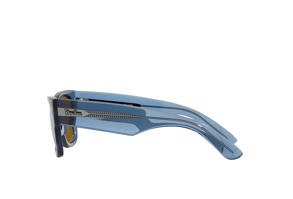 Ray-Ban 0840S Sunglass