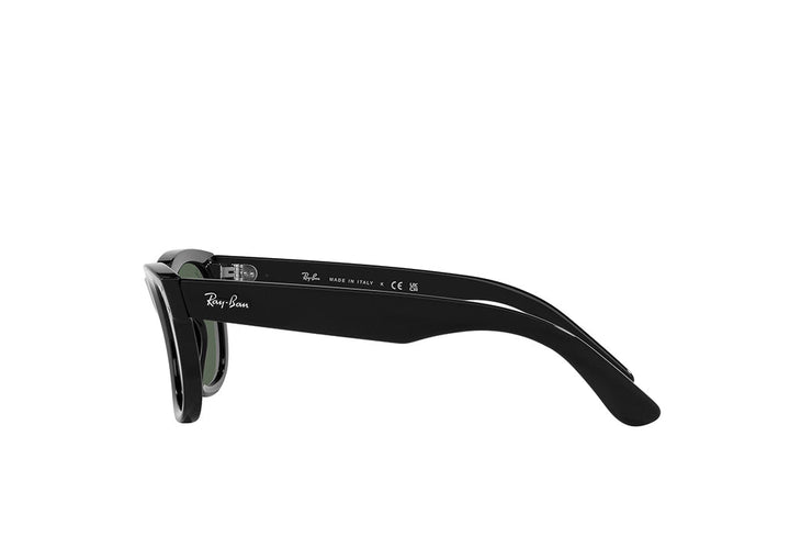 Ray-Ban 0502S Sunglass