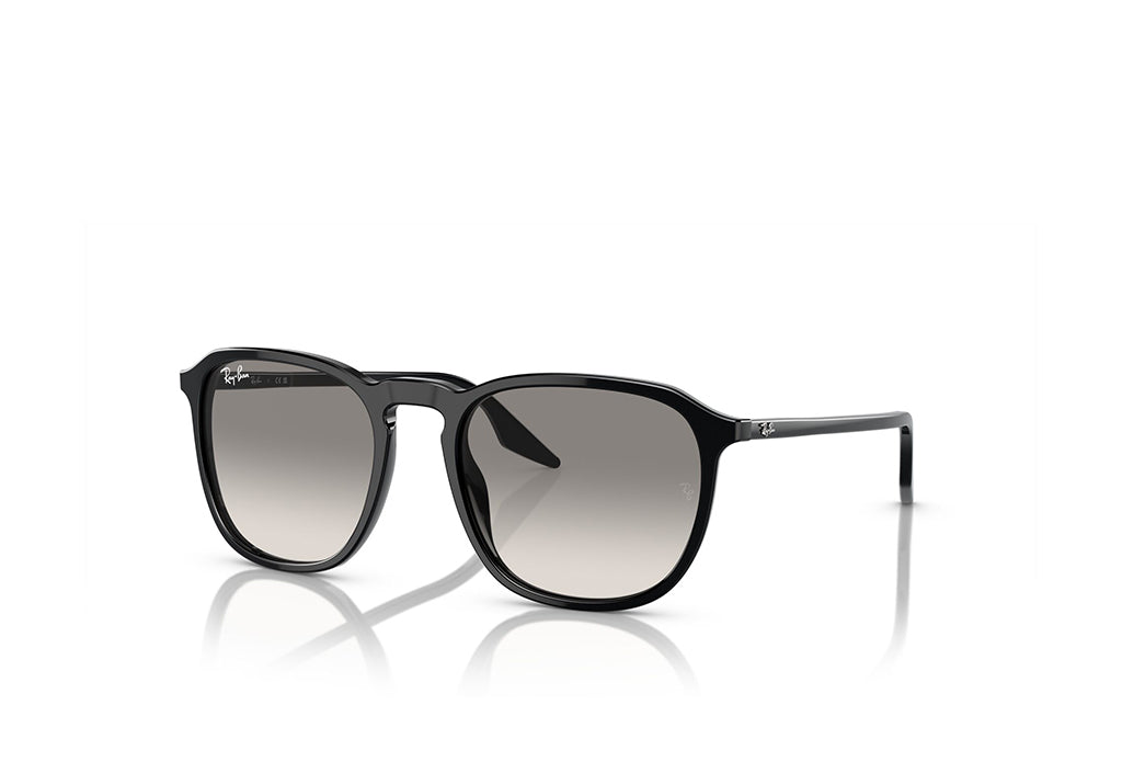 Ray-Ban 2203 Sunglass