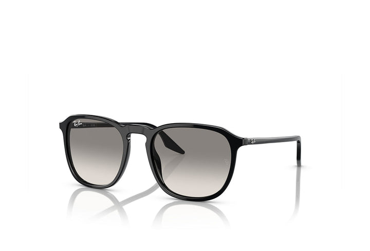 Ray-Ban 2203 Sunglass