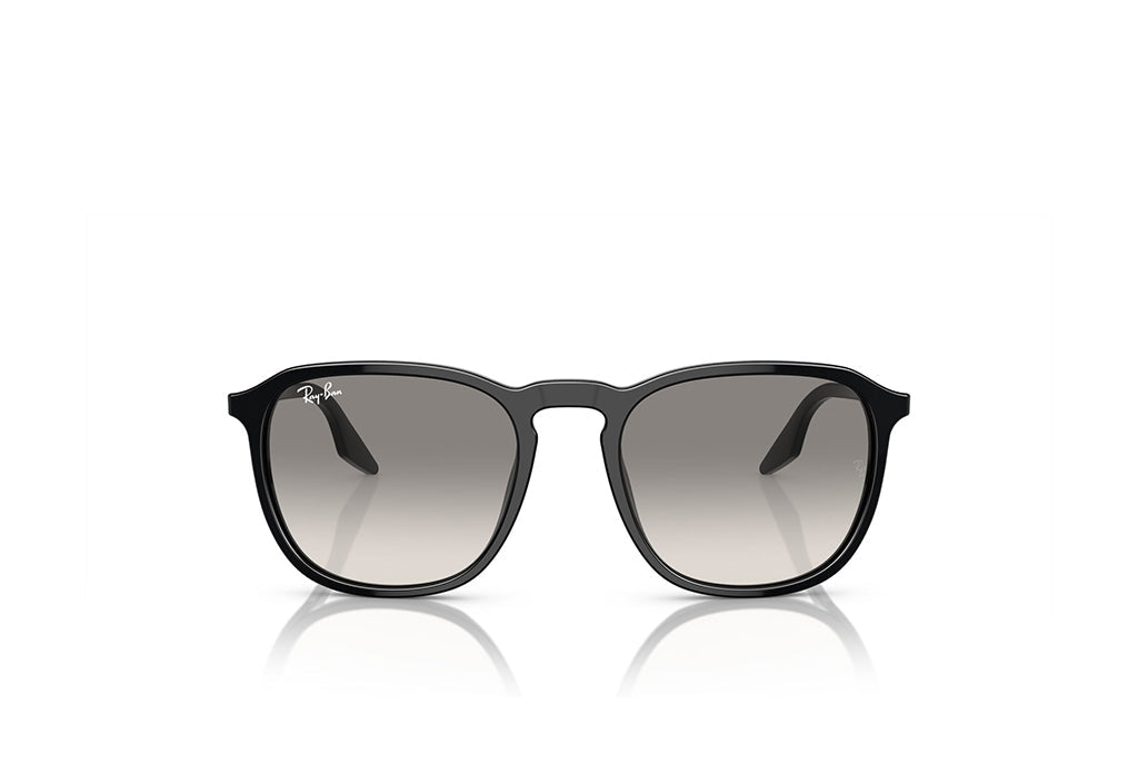 Ray-Ban 2203 Sunglass